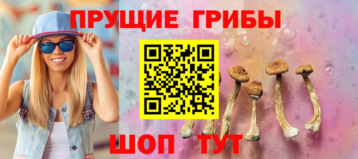 Псилоцибиновые грибы Cubensis Грозный