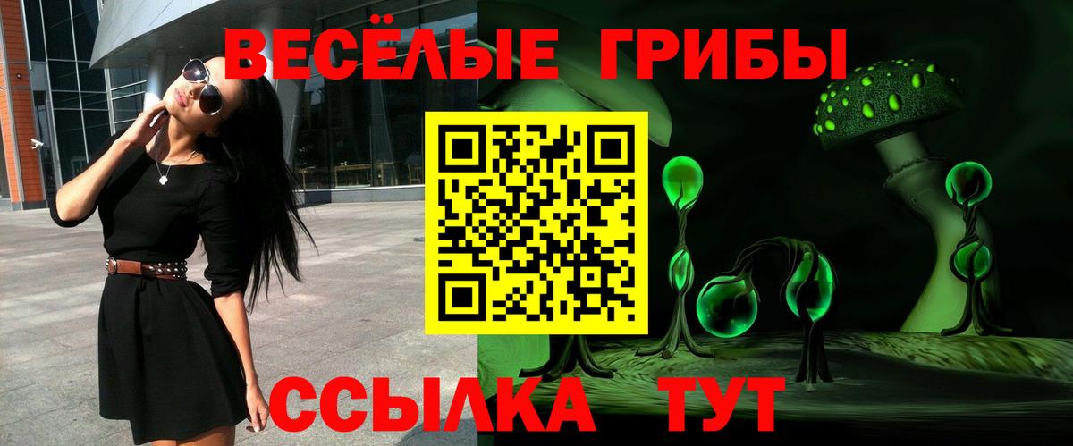 Псилоцибиновые грибы Psilocybine cubensis  Вход с VPN  Грозный 