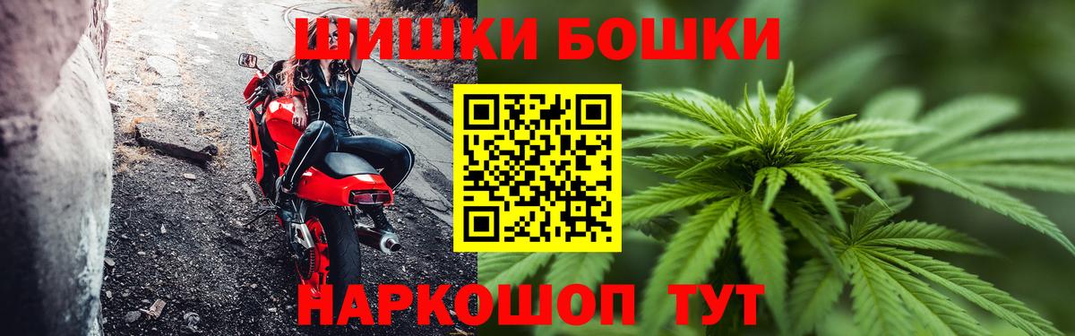 Бошки Шишки план Грозный